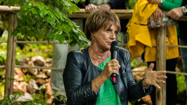 cosi-scrive-il-bosco
