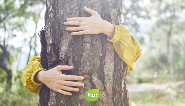 greenwashing