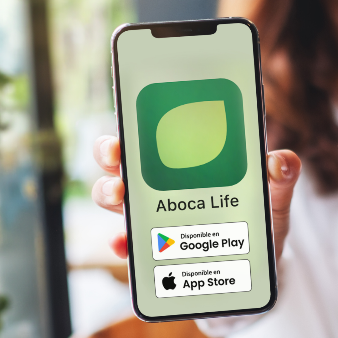 lynfase_blurry_default_light