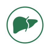 lynfase_blurry_default_light